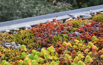 the cost of St Cross South Elmham green roof installation