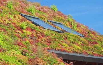 St Cross South Elmham living roof systems