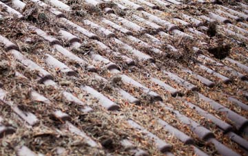 St Cross South Elmham roof cleaning companies