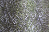 St Cross South Elmham fibreglass roof work